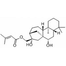 黃花香茶菜甲素