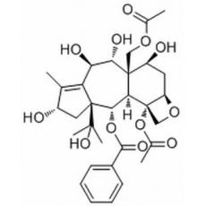 13-鄰去乙酰基紅豆杉醇 Z