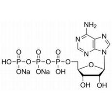5-腺苷三磷酸二鈉鹽