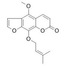 珊瑚菜素