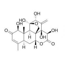 寬纓酮