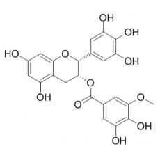 表沒食子兒茶素3-O-(3''-O-甲基)沒食子酸酯