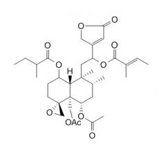 筋骨草素H1