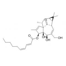 3-O-(2'E,4'Z-癸二烯?；?巨大戟二萜醇