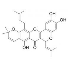 異葉波羅蜜環黃酮素