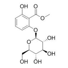  6-(beta-D-吡喃葡萄糖氧基)水楊酸甲酯