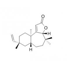 Fischeria A