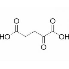 α-酮戊二酸